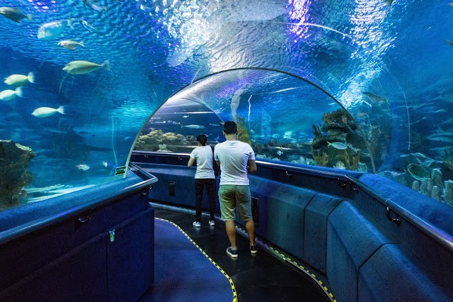 Aquaria KLCC