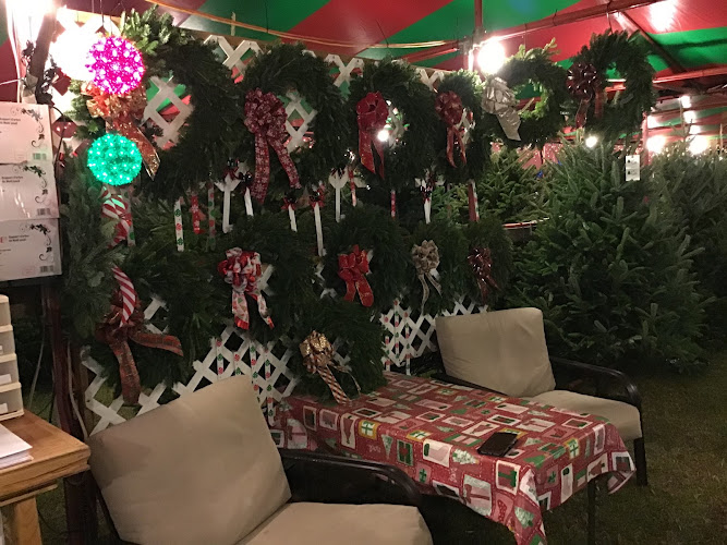 Merry Christmas Tree Naples, Florida