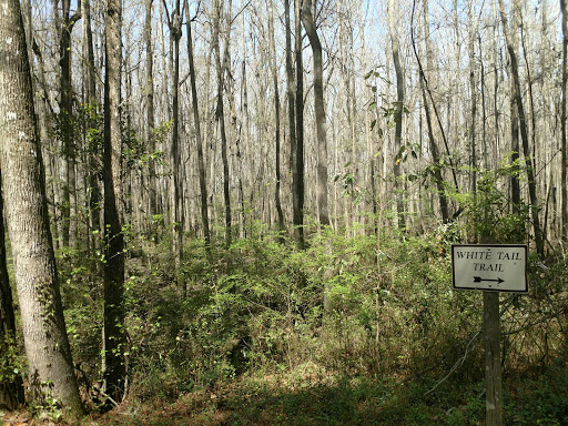 Big Indian Creek Waterway Trails - Thumbnail