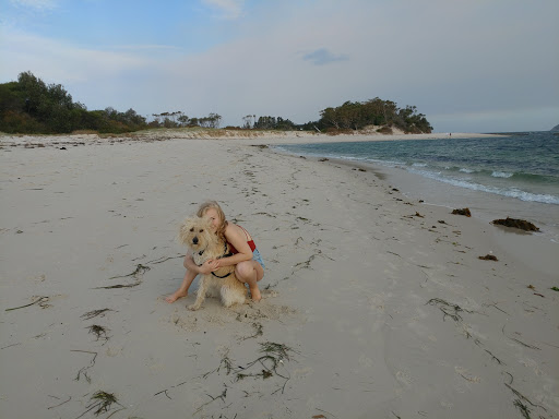Hawks Nest Dog-on-Beach House - Thumbnail