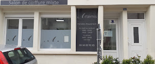 Photo n°3 de Artémis à Sampigny (Salon de coiffure)