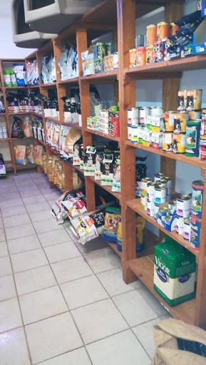 Toelettatura Cesano Pet Shop - Thumbnail