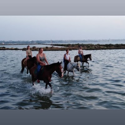 Servizio Radio Taxi a Marsala transfer da/per aeroporto Trapani e Palermo