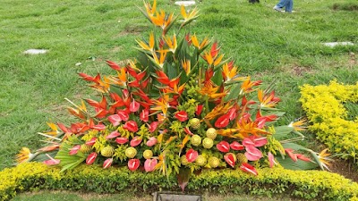Photos of Floristeria Rosita