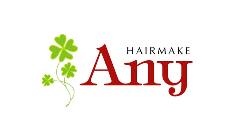 Hairmake Any