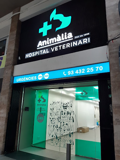 Hospital Veterinario MiVet Animalia