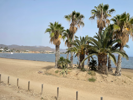 El Alamillo