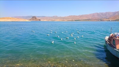 Photos of Pertek Feribotu