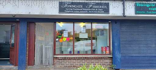 Towngate Fisheries Logo