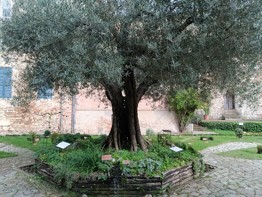 University of Perugia - Faculty of Agriculture - Thumbnail