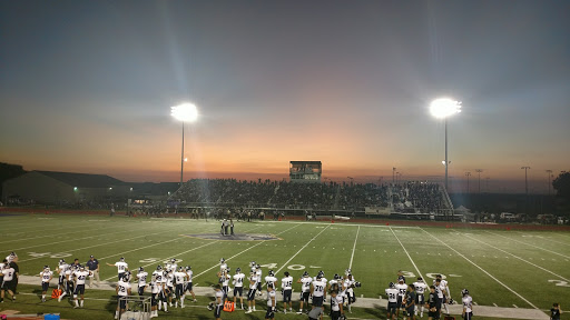 Erwin - Lee Field - Visual