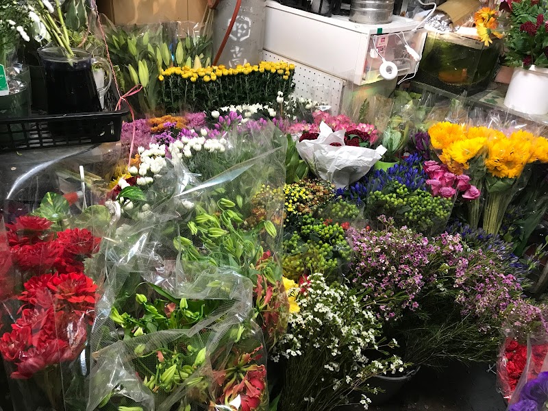 最高かつ最も包括的な名古屋 スタンド 花 最高の花の画像