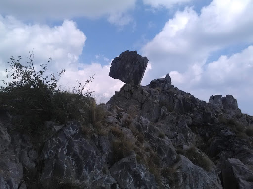Monte Toraggio - Visual