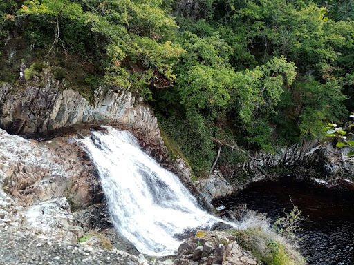 Coed y Brenin Forest Park - Thumbnail