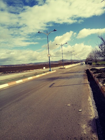 gas-station