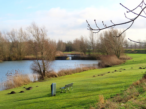 Blankershovevijver