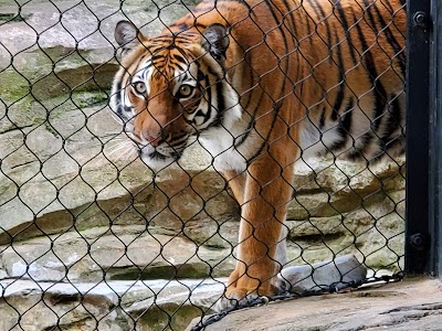 Zoo Knoxville