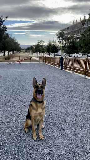 Hotel para perros Paseo de perritos