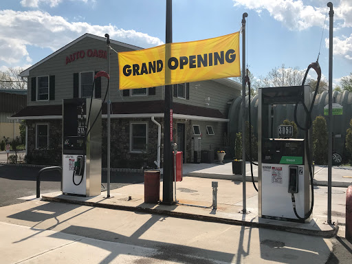 Auto Oasis - Visual