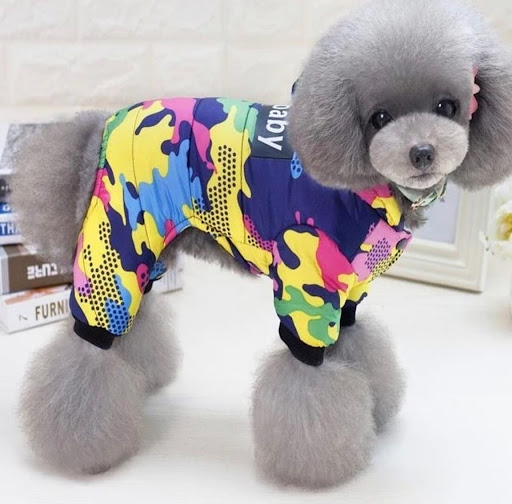 The Woof Boutique
