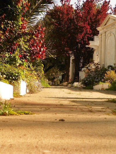 Photos of Cementerio N&deg;1