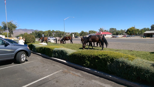 Dayton Valley Tire and Service LLC - Thumbnail