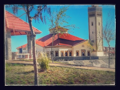 Photos of Niger mosque