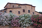 Podere Novo Tuscany à  Bibbona
