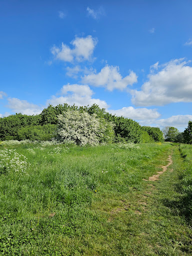 Parkeerplaats Natuur- en recreatiegebied Nieuw Wulven. - Thumbnail