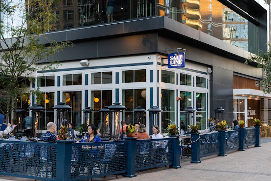 The Salt Line by null