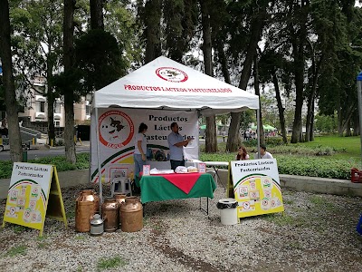 Photos of Plaza Cuba