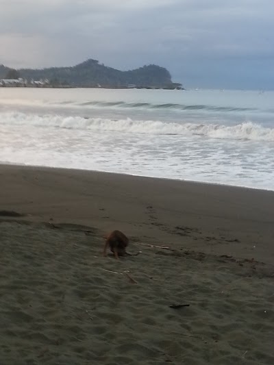 Photos of Parque de Los Suspiritos azules