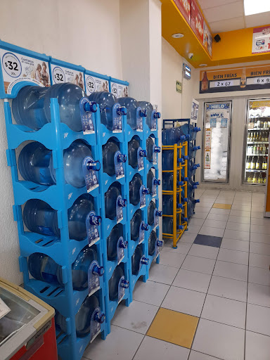 Modelo plus 16 - Visual