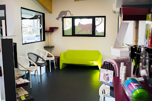 Photo n°3 de Clinique Vétérinaire de la Vallée à Domancy (Vétérinaire)