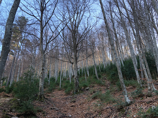 Forat de Sant Ou - Thumbnail