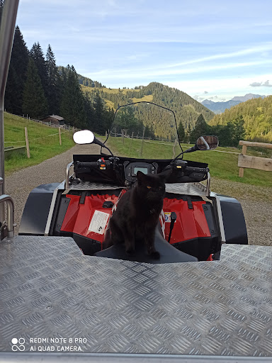 Bolgenalpe - Thumbnail