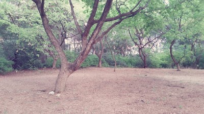park