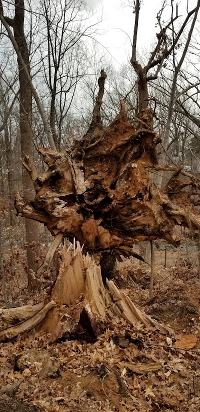 Brandywine Springs Park