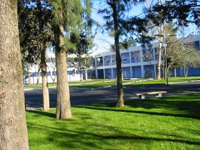 Photos of International School Alexandre Dumas