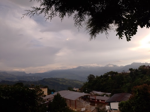 Planada - Visual