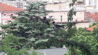 Photos of Liceo Scientifico Galileo Galilei
