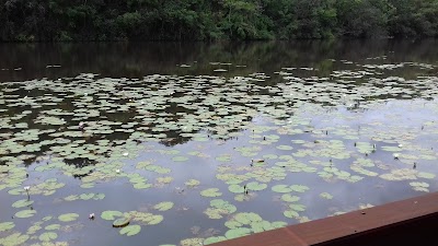 Photos of Bambuu Lakeside Lodge