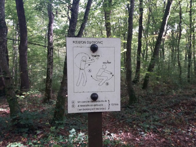 Fitness trail