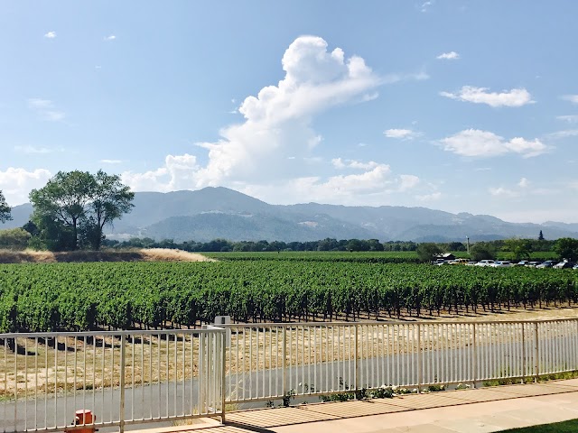 Silver Oak Cellars