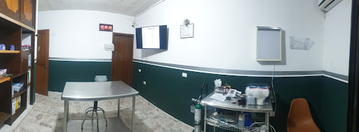 Vet services - Visual