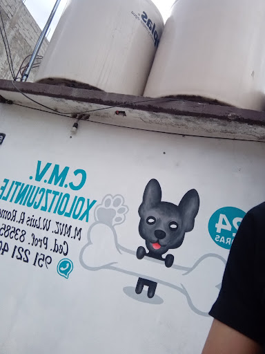 C.M.V. Xoloitzcuintle