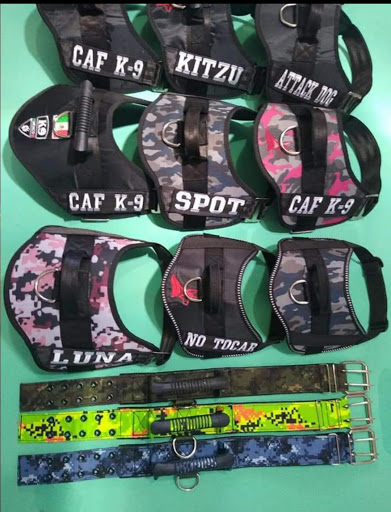 VILUPETS - Visual