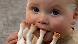 Photo n°2 de Vulli SAS à Rumilly (Fabricant de jouets)