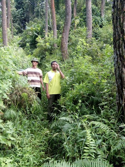 Photos of Bukit Pager Jawa