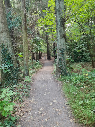 Hälleviks arboretum start